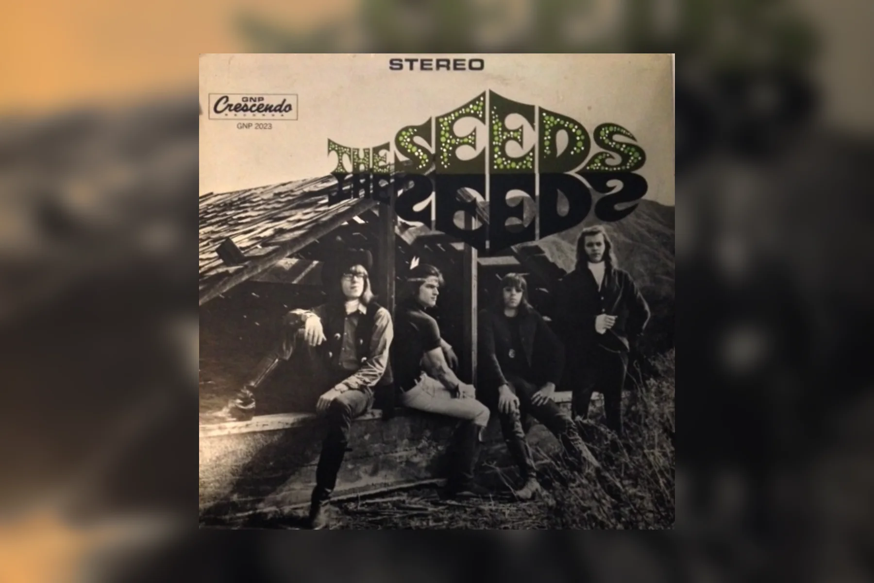 The 1966 GNP Crescendo album cover for The Seeds showing the band posed beside a weathered wooden structure